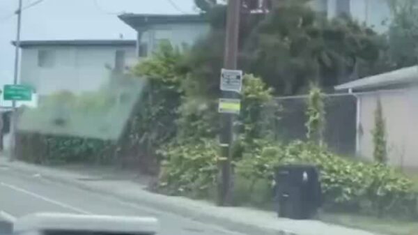 Los Angeles man streaks across traffic before getting smacked by a car in an apparent mental health episode