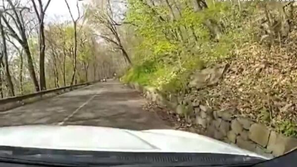 New Haven, CT police release dash cam footage showing their police cruiser cutting off an ATV rider