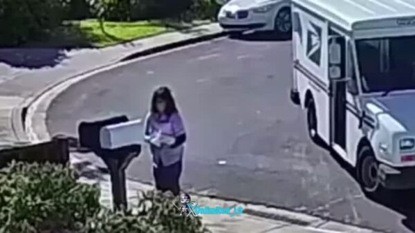 Two men rob a 63-year-old mail carrier in broad daylight and point a gun to her head in Dublin, California