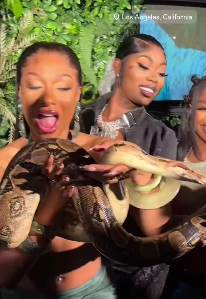 Megan Thee Stallion with Asian Doll, Dreezy & GloRilla at her MEGAN album release party.