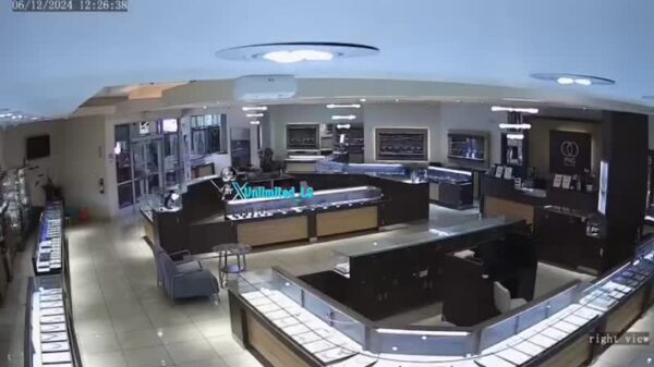 20-person smash-and-grab robbery at a jewelry store