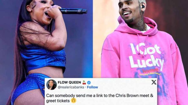 Erica Banks wants tickets to Chris Brown’s tour after meet & greet photos go viral