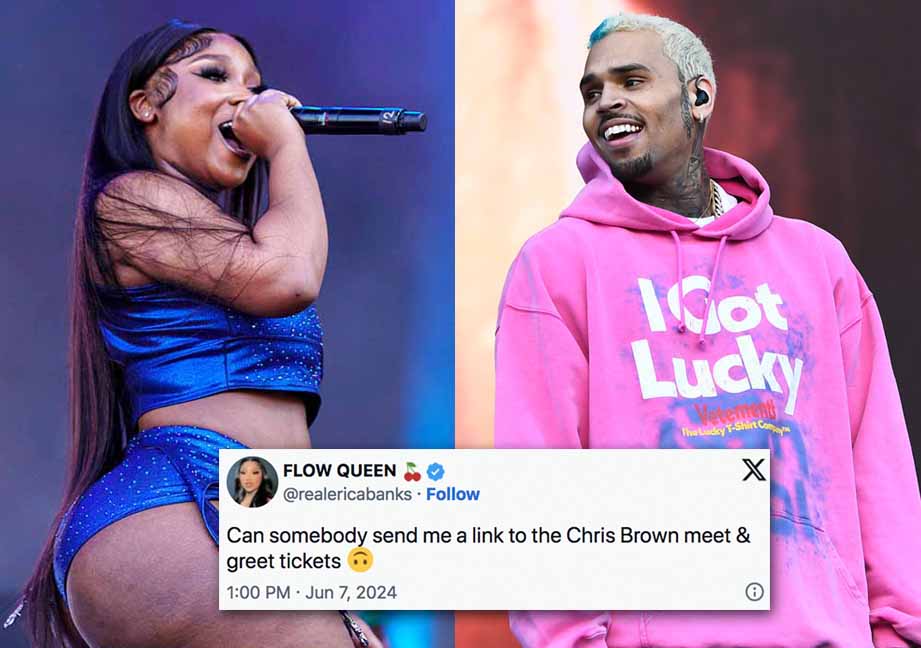 Erica Banks wants tickets to Chris Brown’s tour after meet & greet photos go viral