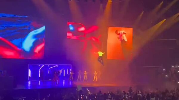 Chris Brown gets pissed off at staff after getting stuck in the air during his New Jersey concert performance