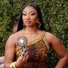 Megan Thee Stallion’s Foundation Gives Generators to Seniors