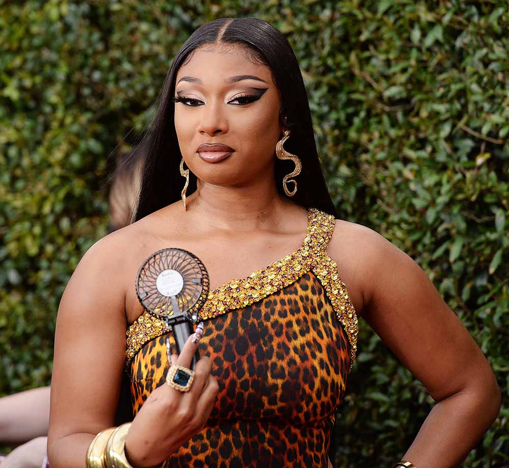 Megan Thee Stallion’s Foundation Gives Generators to Seniors