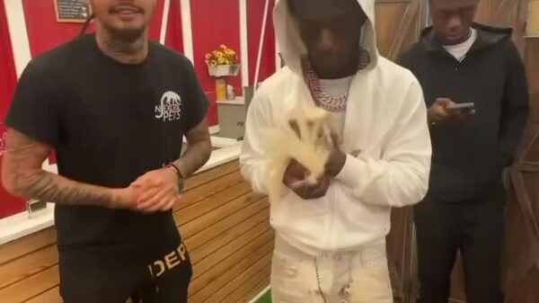 Lil Uzi Vert purchased a new pet Skunk from NJ Exotic Pets and named it “Reptar.”