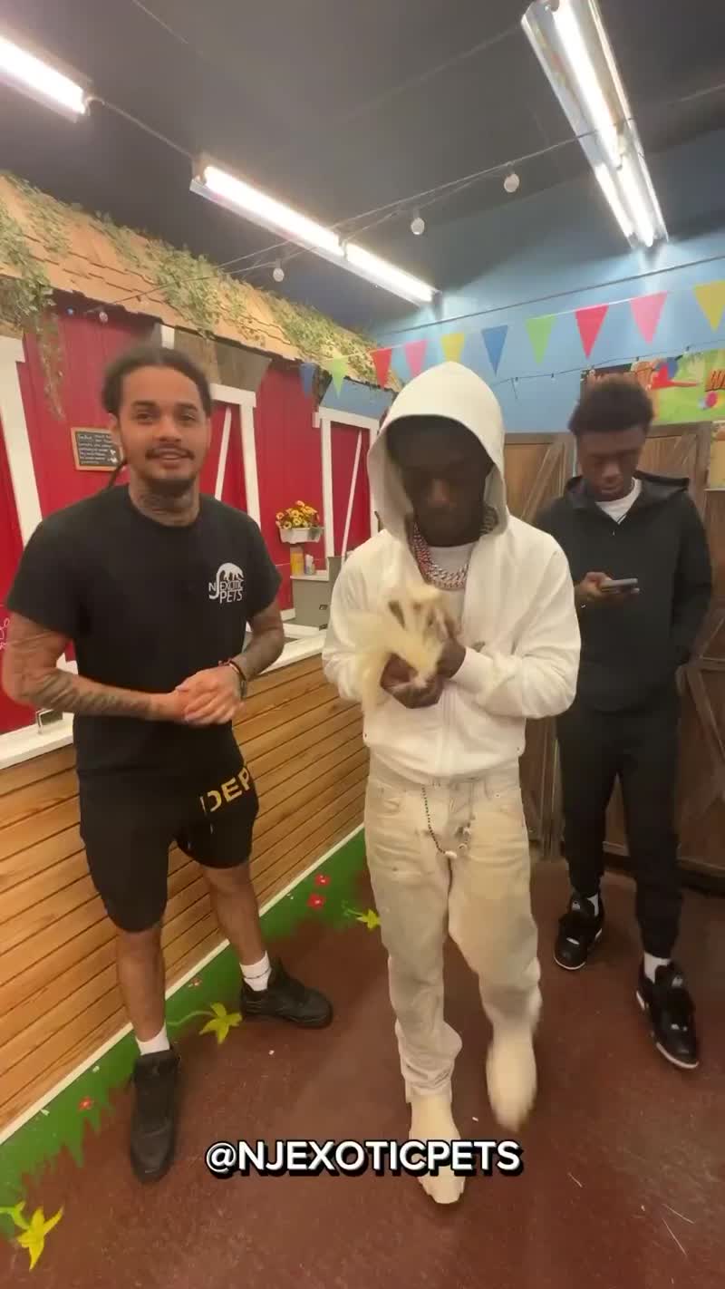 Lil Uzi Vert purchased a new pet Skunk from NJ Exotic Pets and named it “Reptar.”