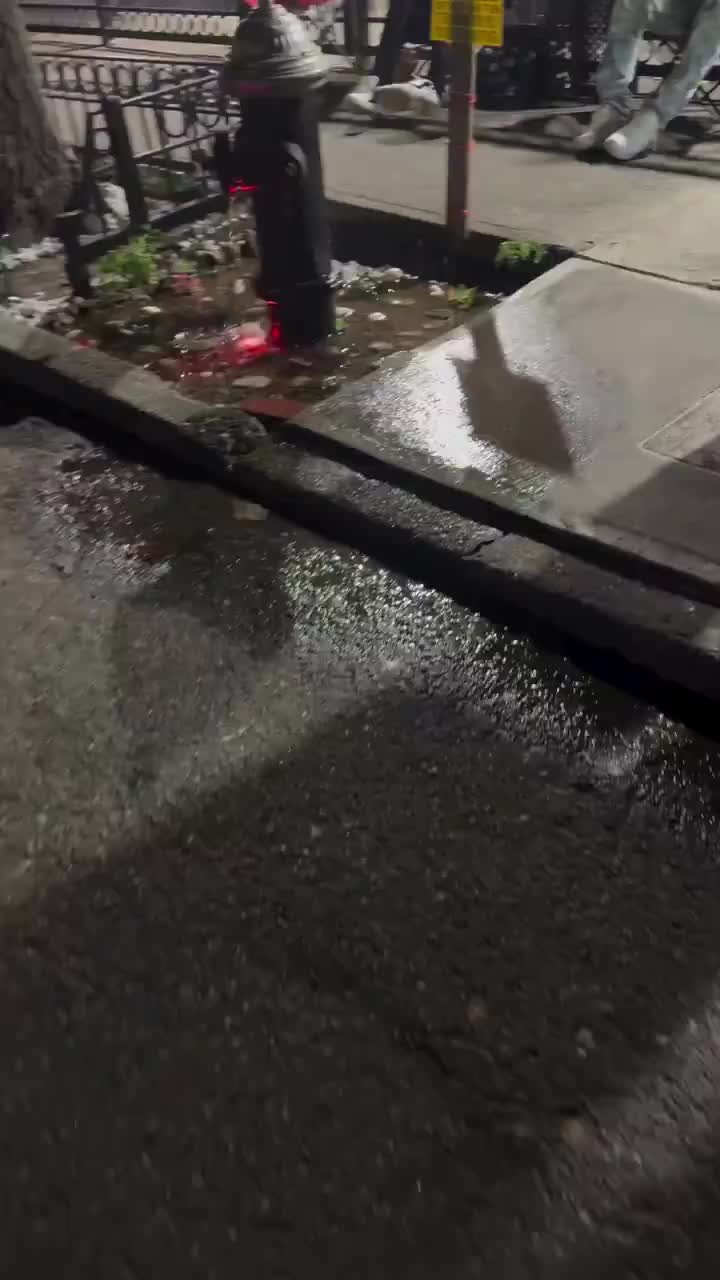 Jadakiss visited the goldfish pond in Brooklyn