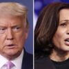 Trump claims Kamala Harris faked crowd picture at airport