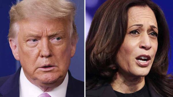 Trump claims Kamala Harris faked crowd picture at airport